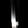 SOLD - Katana, Tairyusai Sokan, Tokubetsu Hozon - Image 23