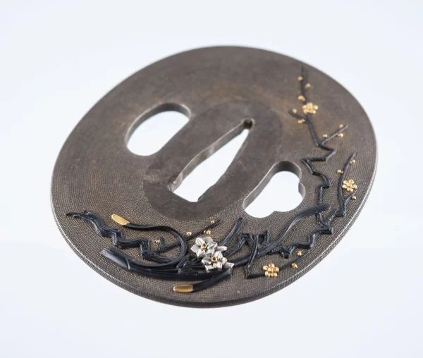 Tsuba Nukagawa Yasukuni plumtree and Narcissus