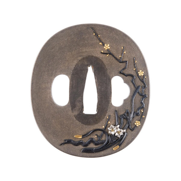 Tsuba Nukagawa Yasukuni plumtree and Narcissus