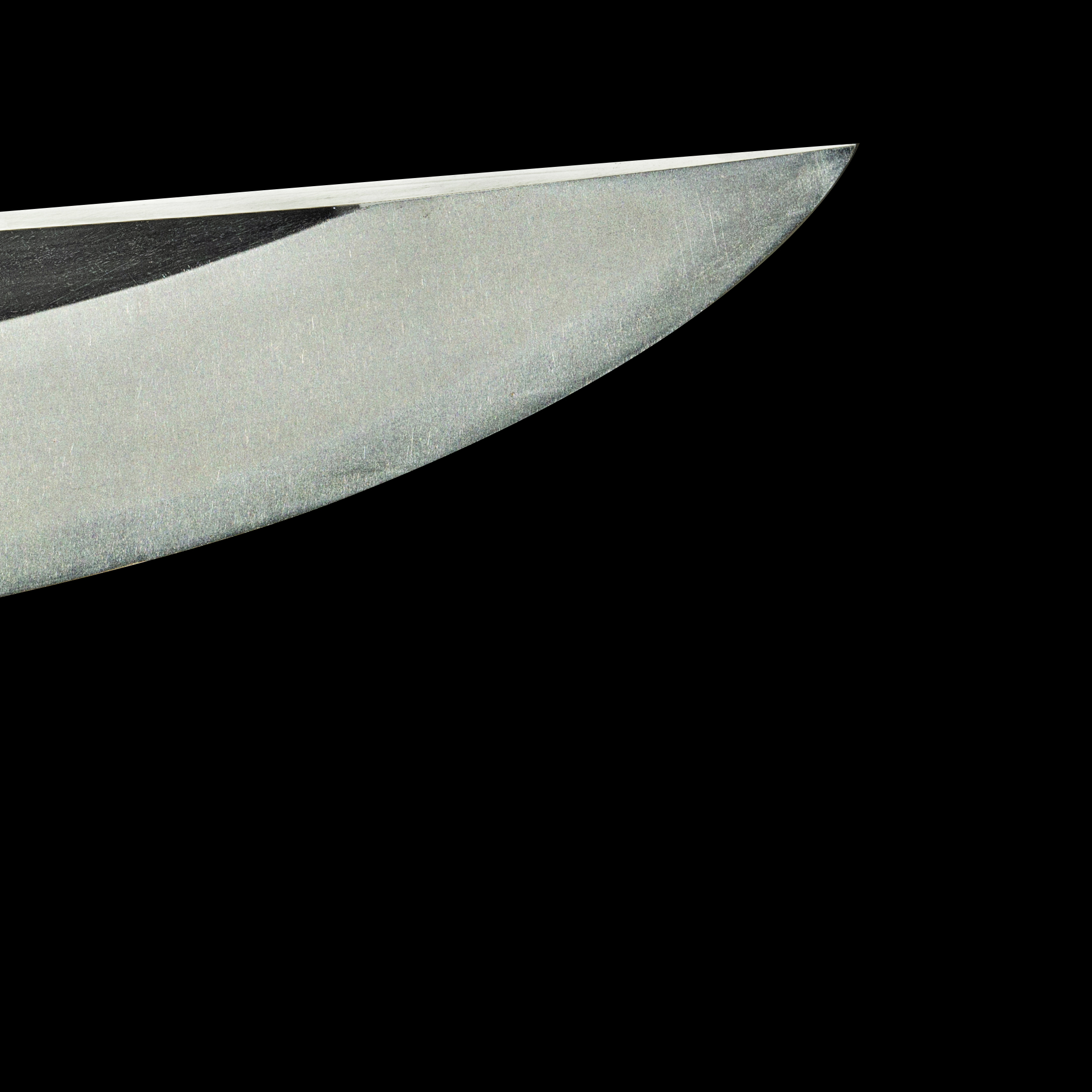 Joshu Fushimi-ju Kanetsune Wakizashi with O-kissaki, Shirasaya and Koshirae – NBTHK Hozon - Image 20