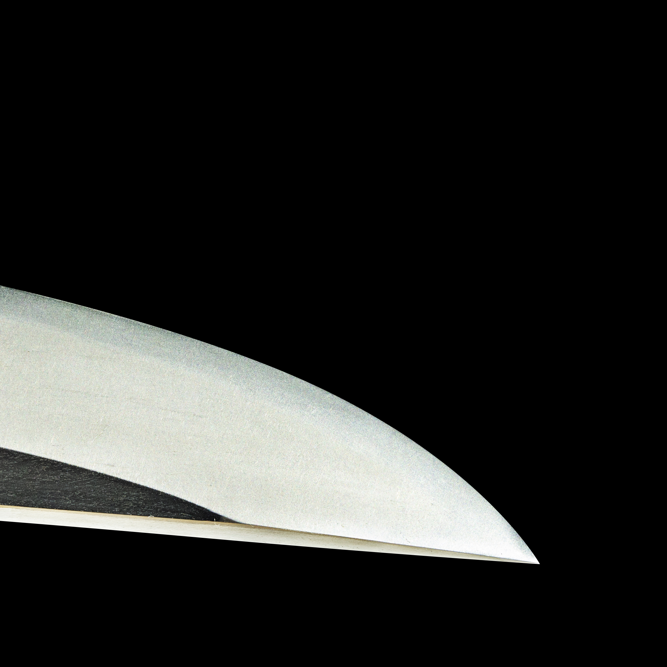 Joshu Fushimi-ju Kanetsune Wakizashi with O-kissaki, Shirasaya and Koshirae – NBTHK Hozon - Image 12